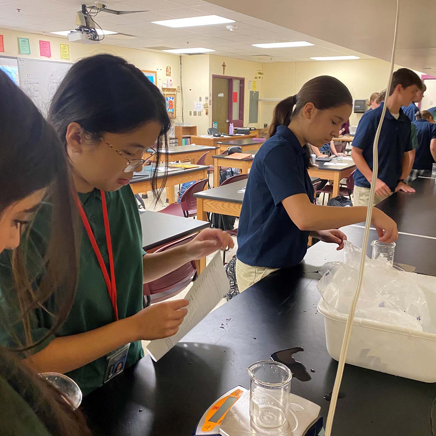 Cubed Or Crushed In Biology Class Lincoln Pius X Catholic High School