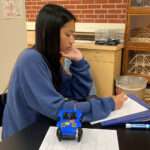 Car motion lab in Accelerated Physics