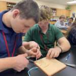 Suture Lab in Anatomy and Physiology 1