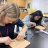 Suture Lab in Anatomy and Physiology 3