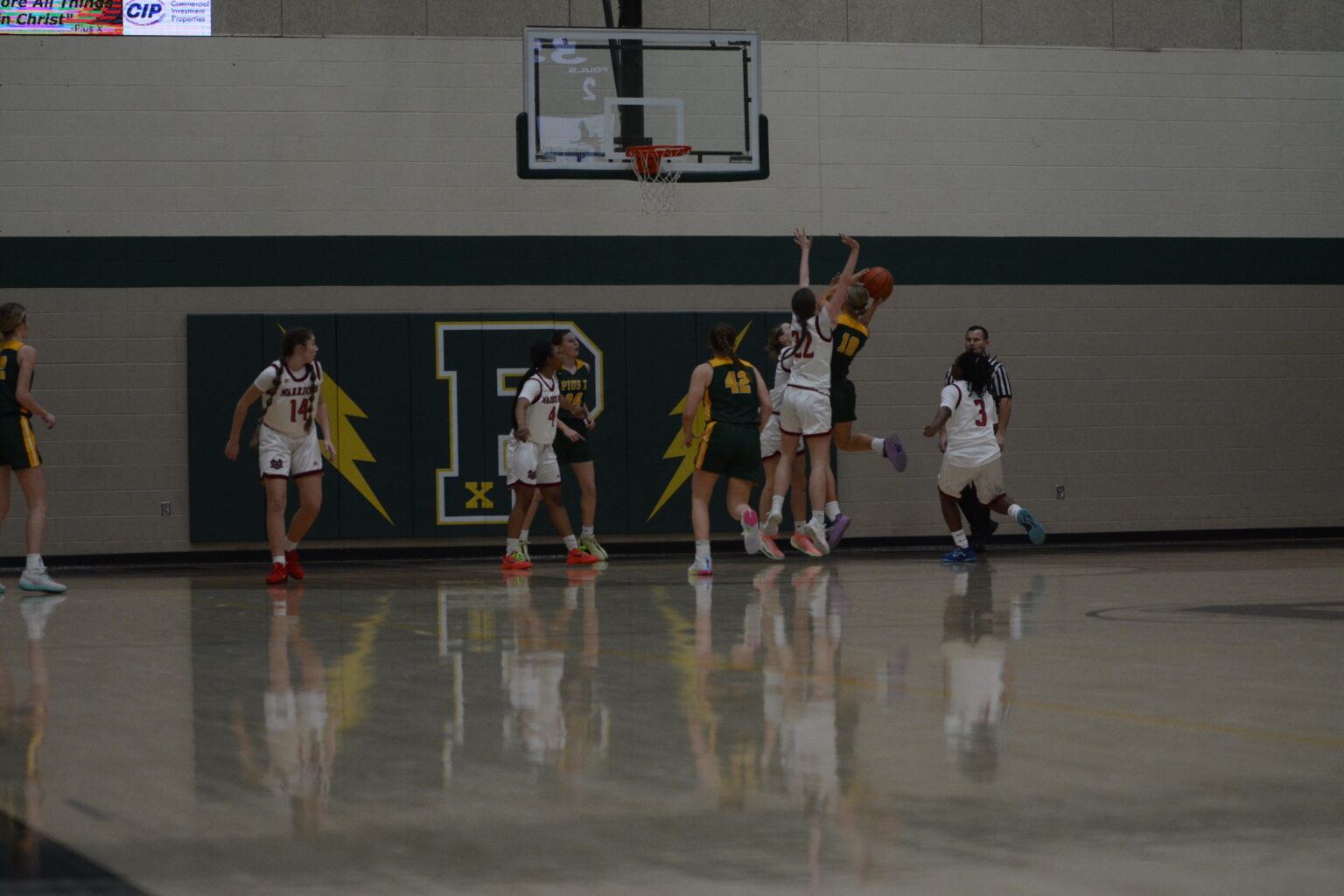 emily bball 238